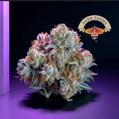 Blue Cheese(TOP SHELF)