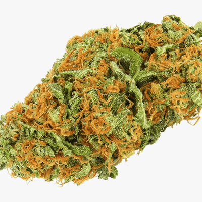 Rose OG (AAA+)