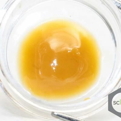 FTEE SEX WAX