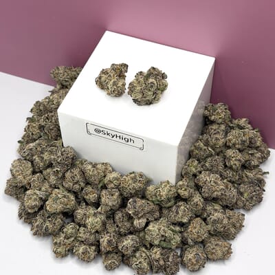 Lemon Cherry Runtz-Designer A+++