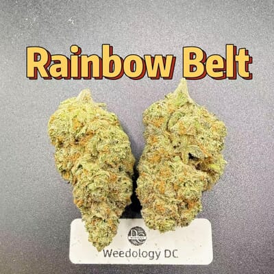 Rainbow Belts---Top Shelf