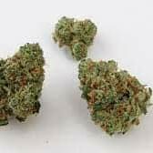 SOUR CAKE (PREMIUM)