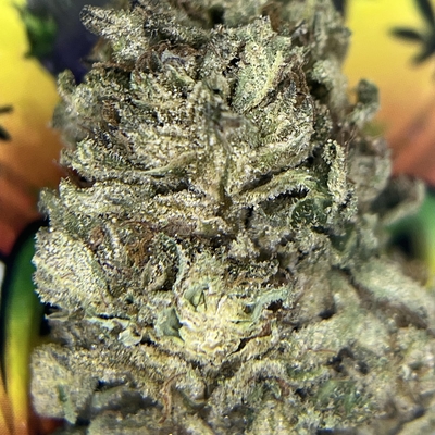 PREMIUM- GREEN GOBLIN