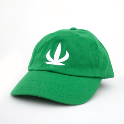 Cactus Dad Hat | Green O/S