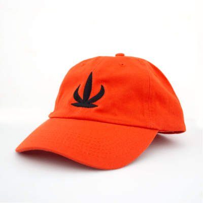 Cactus Dad Hat | Orange O/S