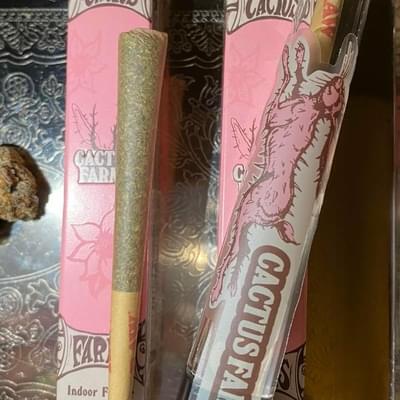 Cactus Farms x Connected | PYT Jack premium indoor flower preroll 1g | 22.83% THC