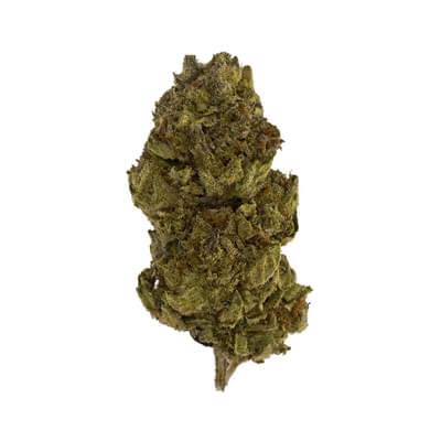 Calibum - Garlotti -