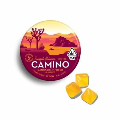 Camino - Pineapple Habanero Gummies 100mg