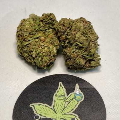 Northern Lights