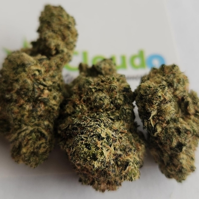 Citronella - Exotic SMALLS