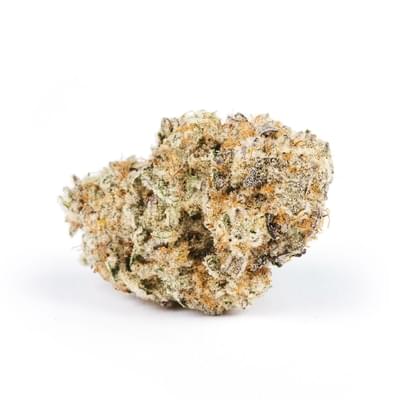 Mac 1 by HONEYDEW FARMS