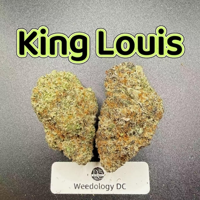 King Louis---Exotics
