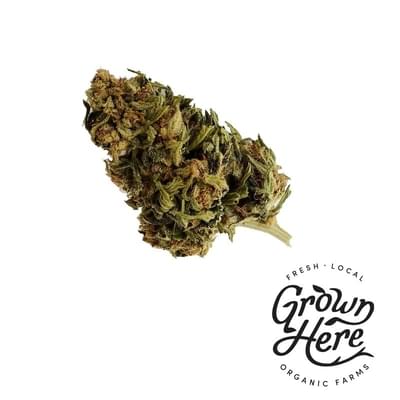 Certified Organic CBD Hemp Flower 7g (Grown Here Farms)