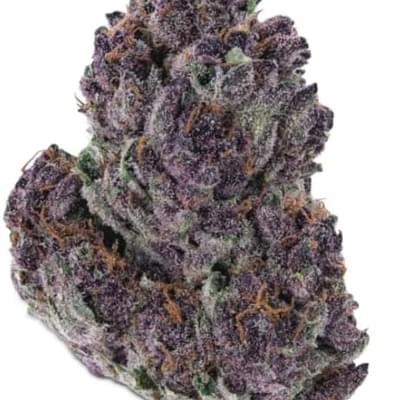 Granddaddy Purple (exotic)