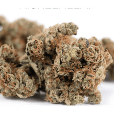 Cherry Burst (S) by Green Man