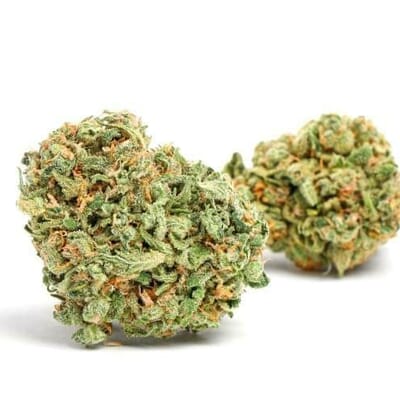 Green Goblin Sativa | Top Shelf Flower