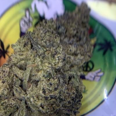 TOP SHELF. JACK HERER