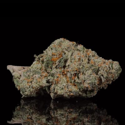 White Widow