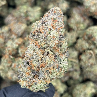 King Louie OG (Indica)