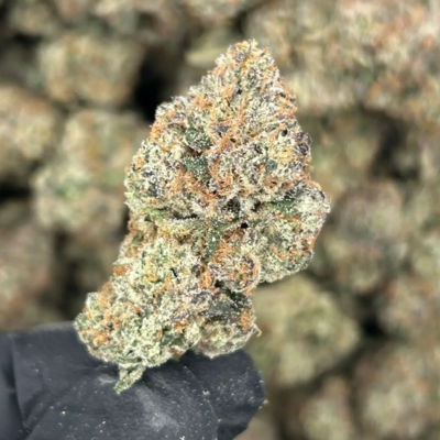 Blackberry Kush +A (Indica)