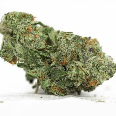 Orange Creamsicle