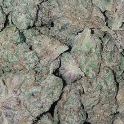 Larry OG - High Valley Farms