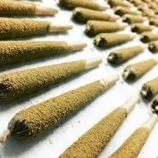 Gelato - HYBRID INFUSED PREROLLS