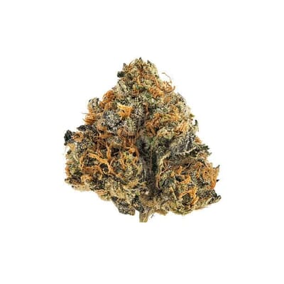 Blue Iguana (Top-Shelf)