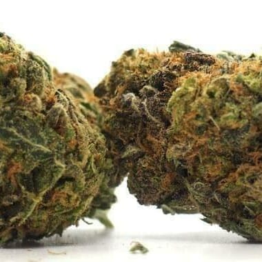 Granddaddy Purple