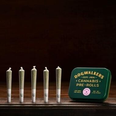 10-Pack Mini Pre-Rolls