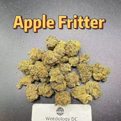 Apple Fritter