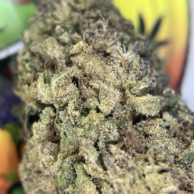 PREMIUM- WHITE DURBAN