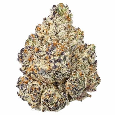 Capri Runtz Designer Exclusives | 42% THC Premium Cannabis