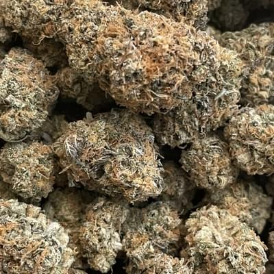 STARDAWG