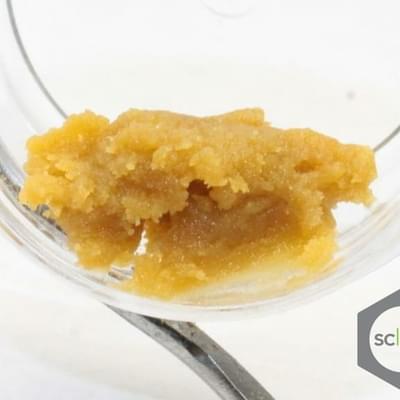 FTEE COCO BUDDER