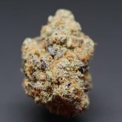 Purple Punch 23.2% THC Indica