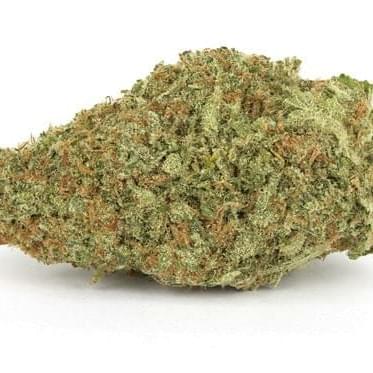 Lemon Head OG