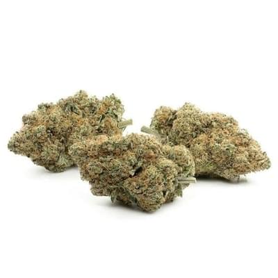 Platinum bubba TOP SHELF