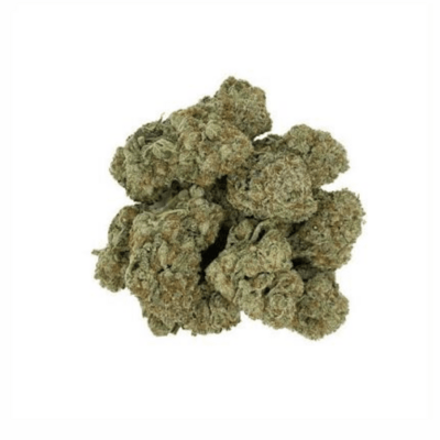 Cinderella 99 (Premium)