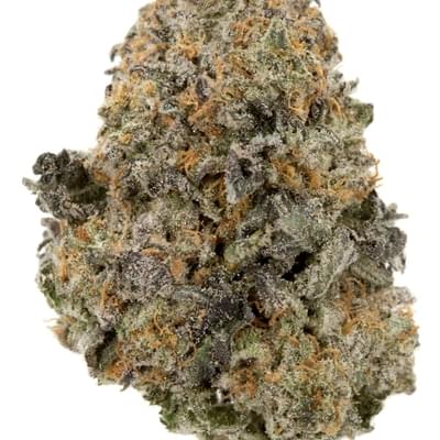 Gelato