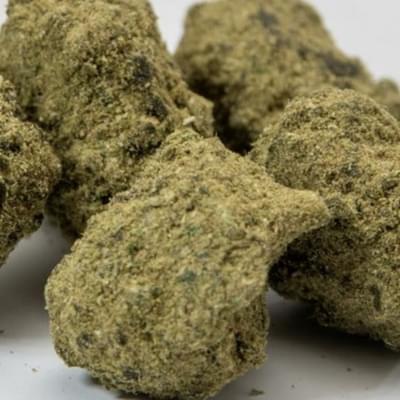 L. C Gelato M. Rock