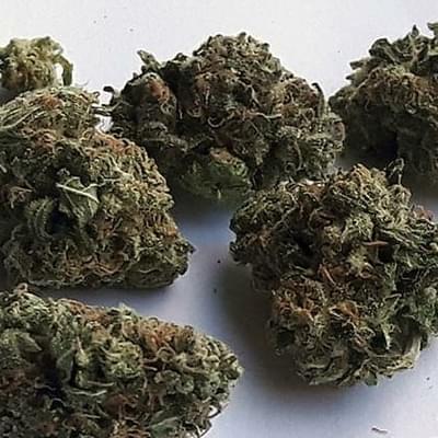 GG4