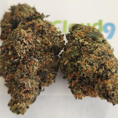 Monster Profit - A+ Topshelf