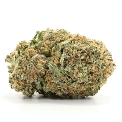 Jungle Cake (TOP SHELF)