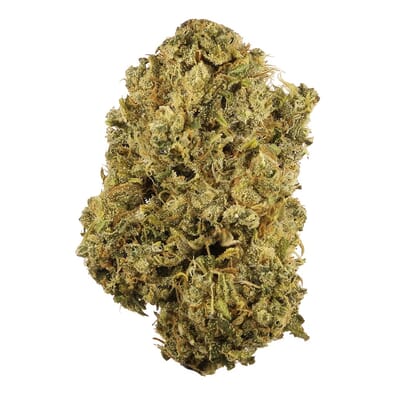 Girl Scout Cookies