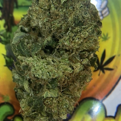 PREMIUM- CACTUS BREATH