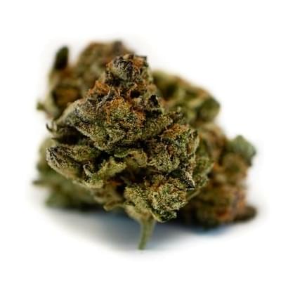 GIRL SCOUT COOKIES - 5 GRAMS