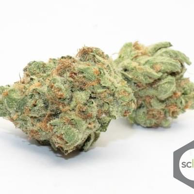 Tangie