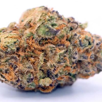 TKO (EXOTIC)