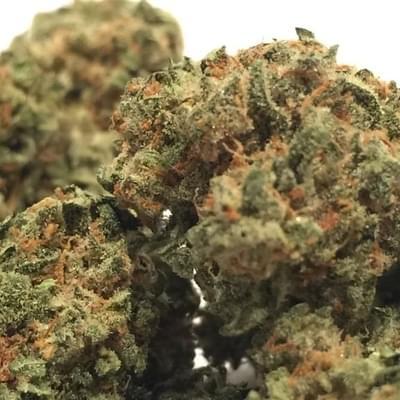Trainwreck